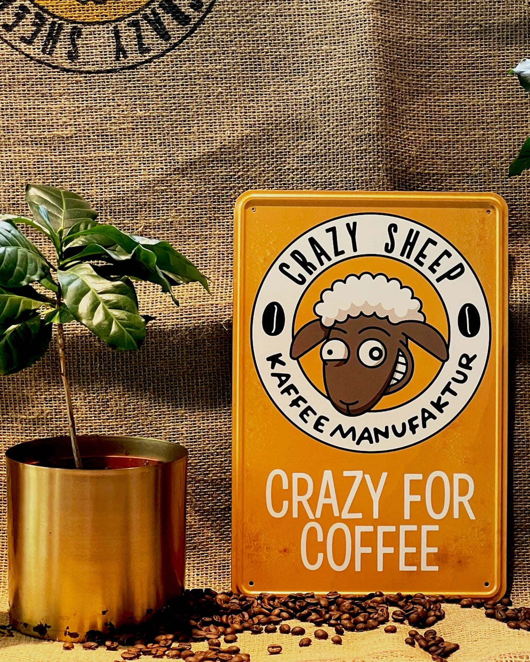 Crazy Sheep Branding-Schild